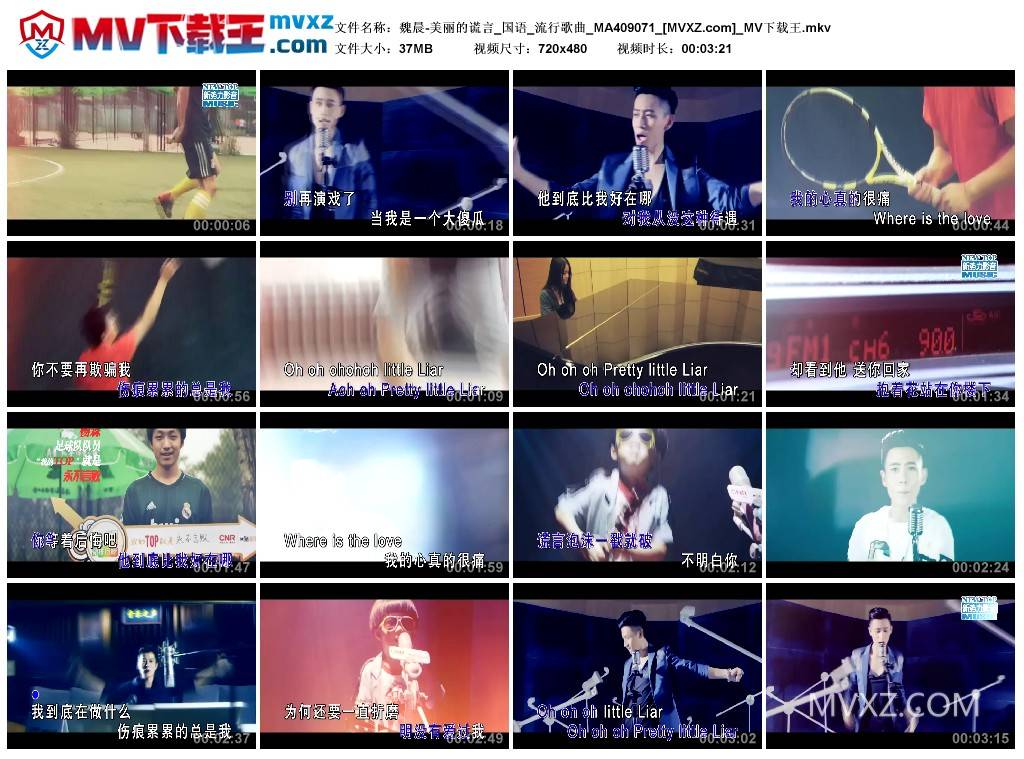 魏晨-美丽的谎言_国语_流行歌曲_MA409071